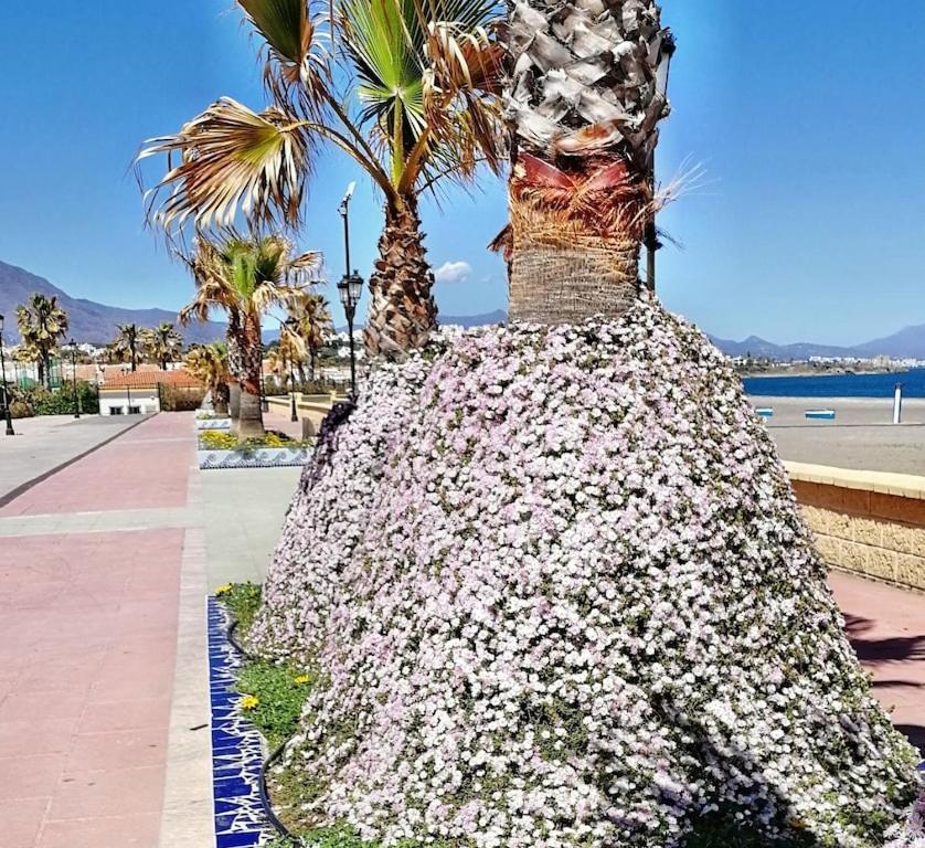 28 Mikonos Playa In Puerto De La Duquesa 2 Bed 2 Bath Apartment Ideally Located To The Beach & Marina Castillo de Sabinillas Exterior foto
